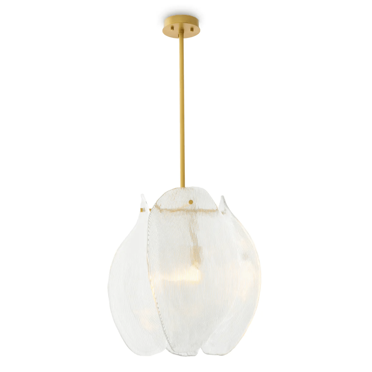 Chandelier Hibis - Eichholtz - Luxury Lighting BoutiqueChandelierEichholtz