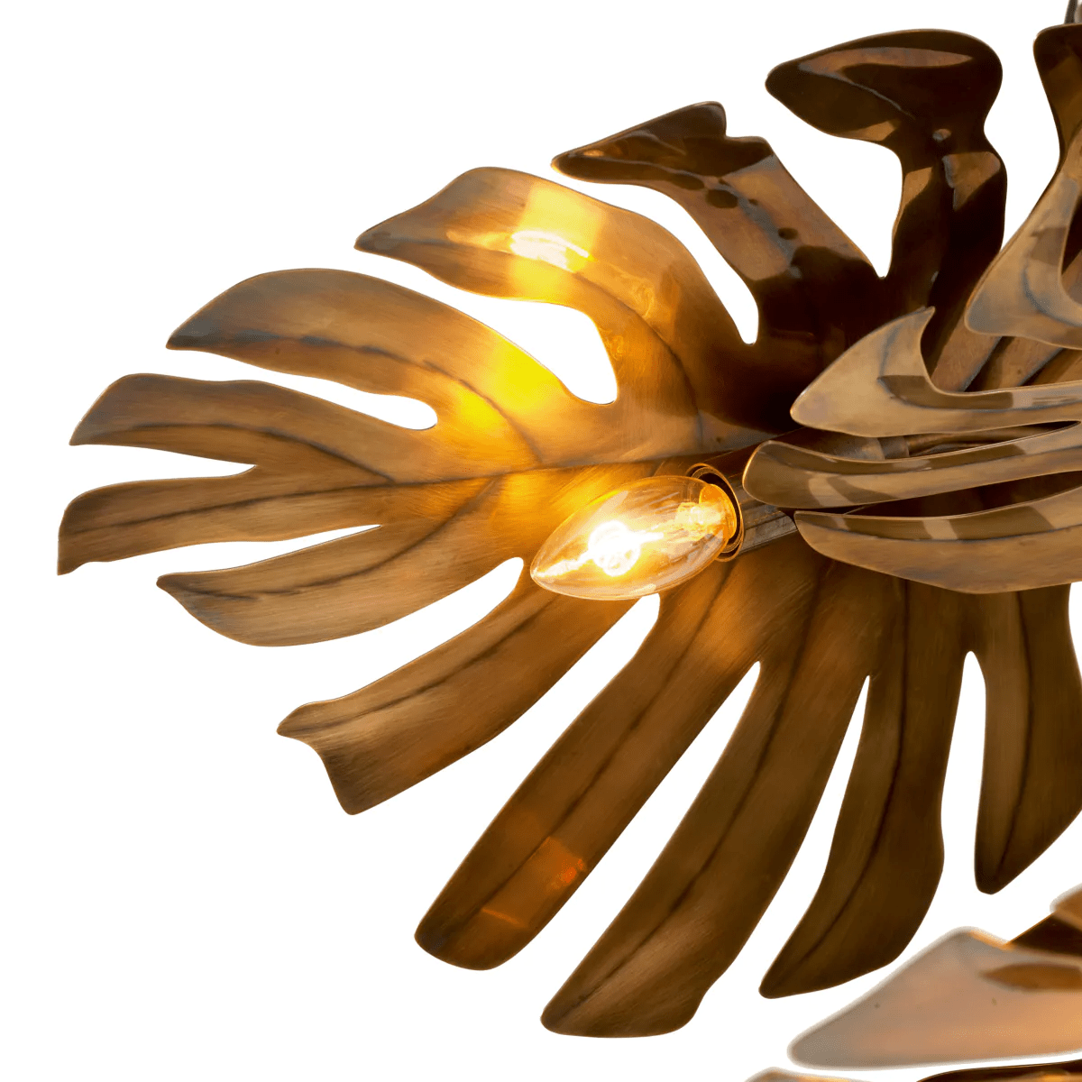 Chandelier Tropique - Eichholtz - Luxury Lighting BoutiqueChandelierEichholtz
